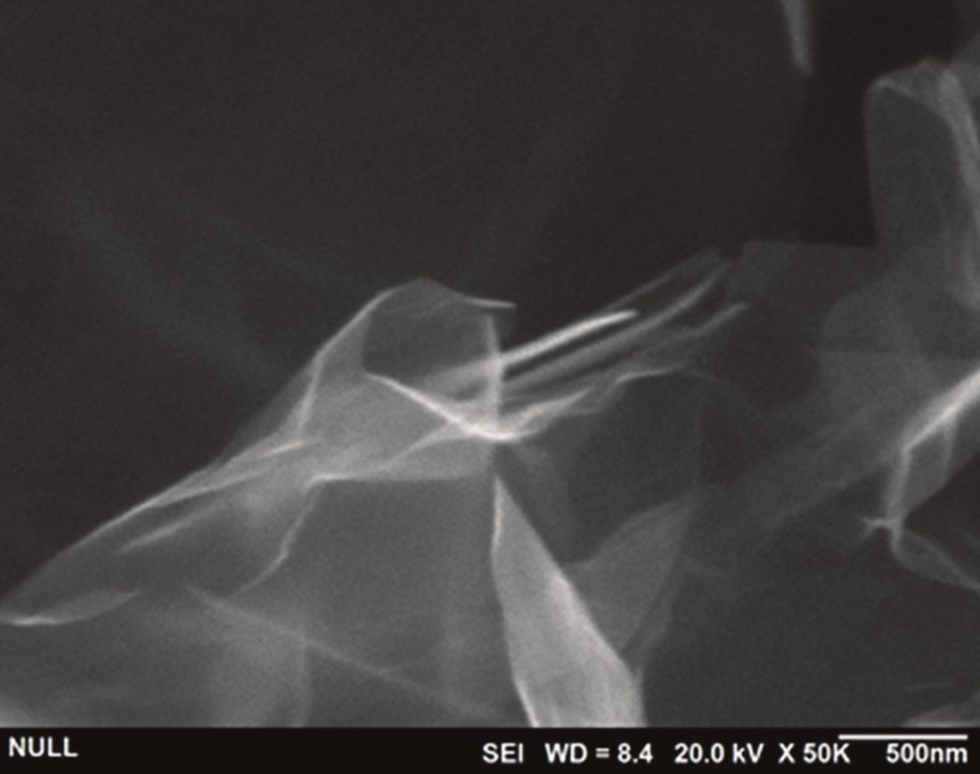 전기분해 박리 그래핀 SEM 이미지, 50,000배